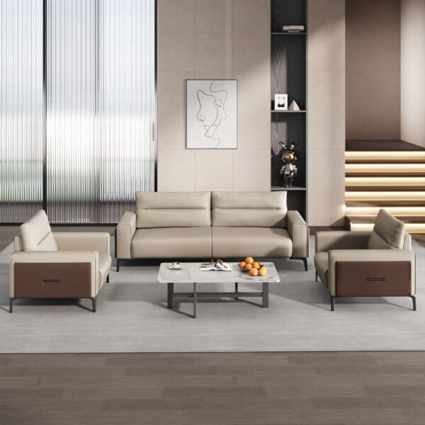 Comfortable Grullo Individual Sofa Cum Set for Home Office Apartment or Hospital Use